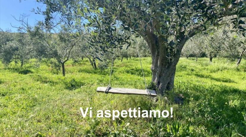 Podere Il Ritorno 费拉约港 外观 照片